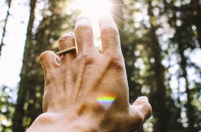 A hand reaching up towards the sun